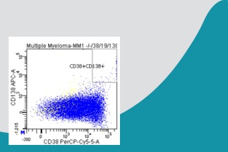 IMMUNOPHENOTYPING BY FLOW CYTOMETRY: CD138