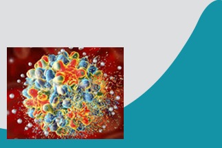 HEPATITIS B VIRUS PCR QUALITATIVE ; HBV DNA PCR QUALITATIVE
